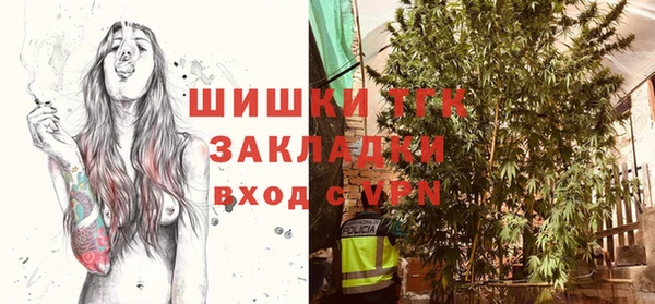 МДПВ Богородицк