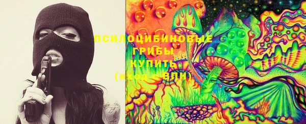сатива Богородск